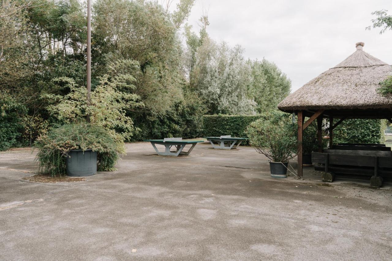 Kleine Seezeit * Purbach am Neusiedlersee